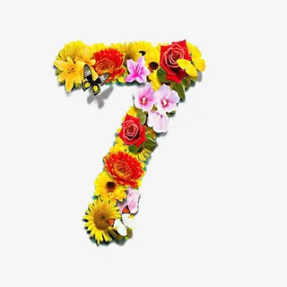 花朵组成的数字免抠