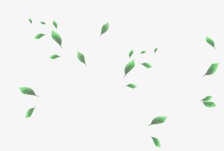 叶子底纹免抠