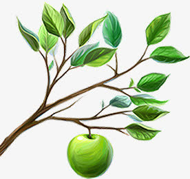 手绘大树青苹果生鲜电商免抠