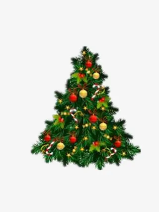 圣诞树免抠