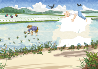 插秧人 插画  节约粮食高清