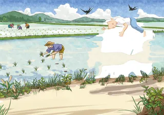 插秧人 插画  节约粮食高清