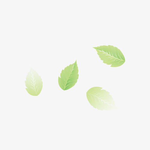 树叶免抠