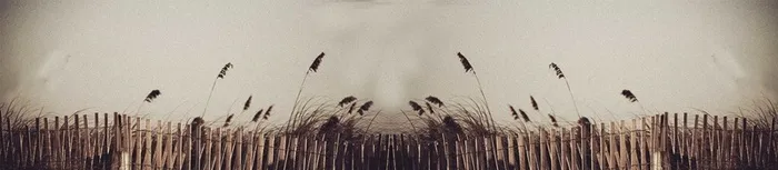 秋季秋装稻草唯美背景banner高清