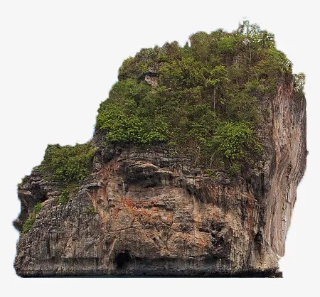 山和植物免抠