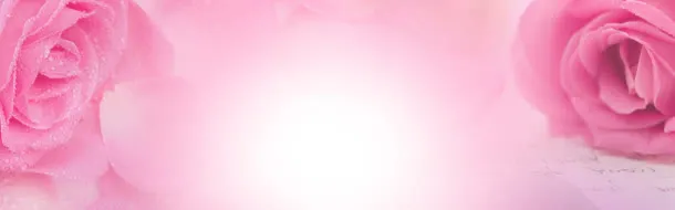 唯美粉色花瓣免抠