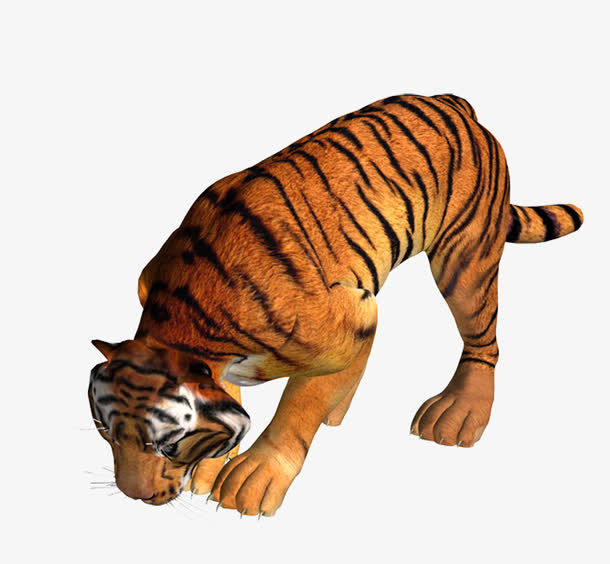 猛虎觅食免抠