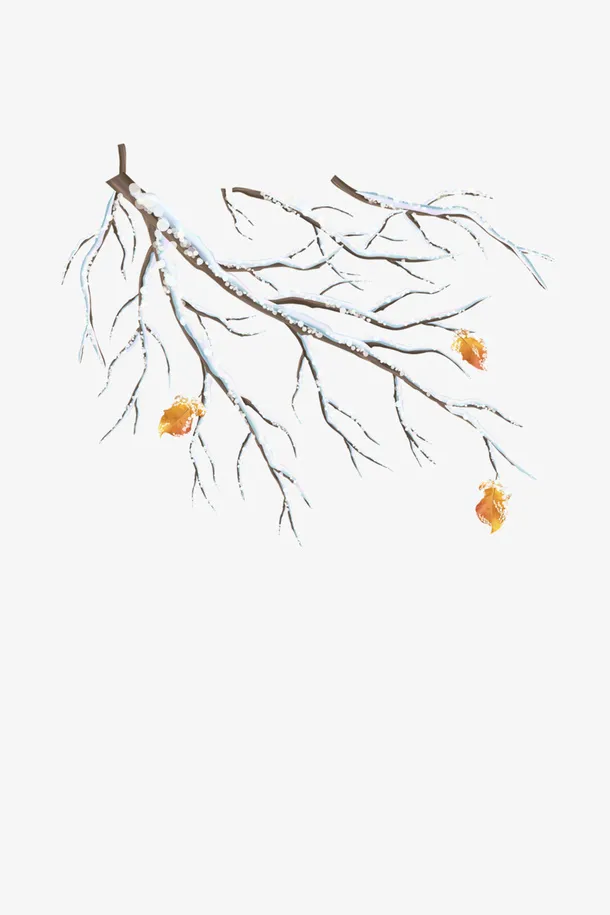 中国古风花枝素材-0005免抠