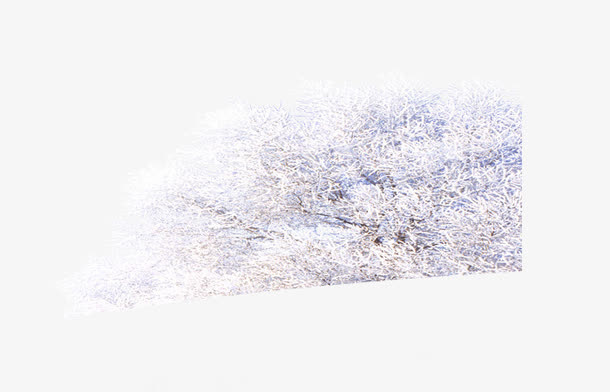 雪地树背景