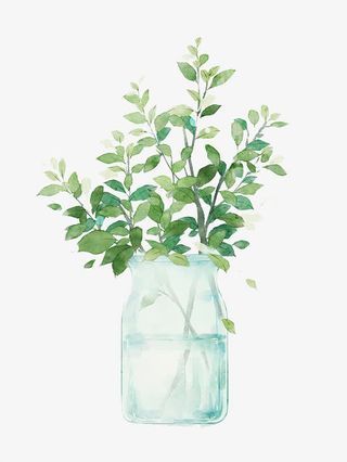 花瓶的树枝免抠