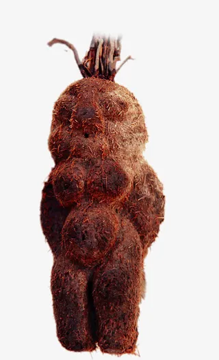 高清何首乌果实免抠