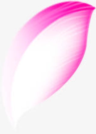 紫色边沿花瓣中秋免抠