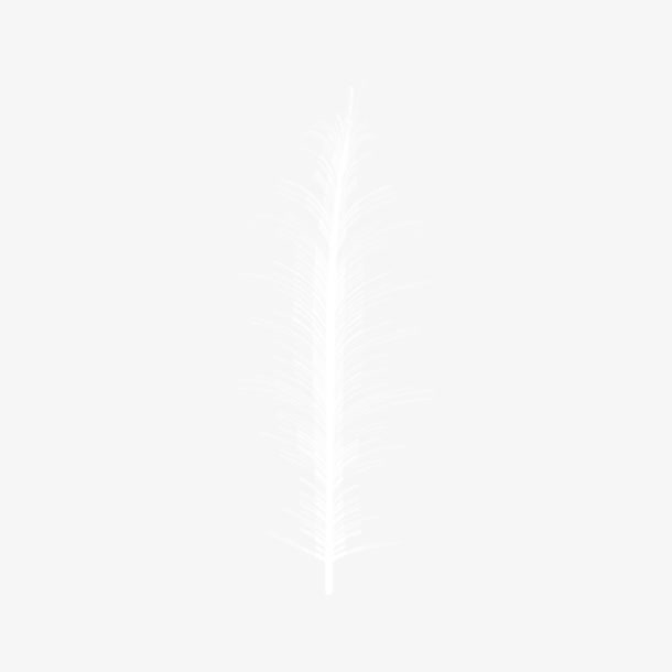白色微曲羽毛免抠