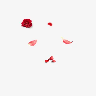 漂浮玫瑰花免抠
