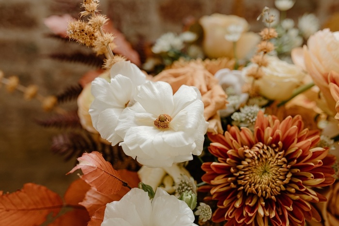 黄花  菊花 黄昏高清