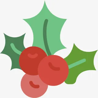 槲寄生图标免抠