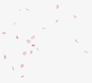粉色简约一地花瓣素材免抠