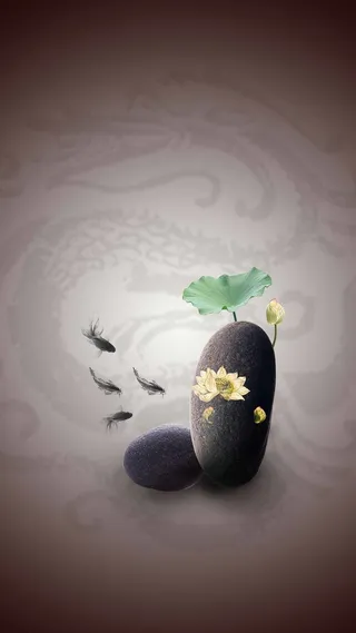 渐变纹理荷花石头商业H5背景高清