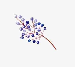 小清新插画广告设计卡通多肉盆栽免抠