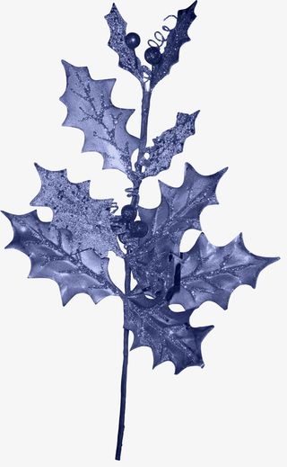 蓝色背景场景 布景 装饰 叶子