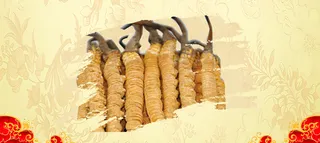 淘宝虫草大促banner高清