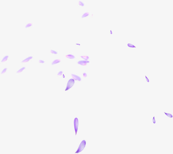飞舞的紫色花瓣免抠