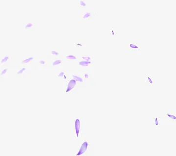 飞舞的紫色花瓣免抠