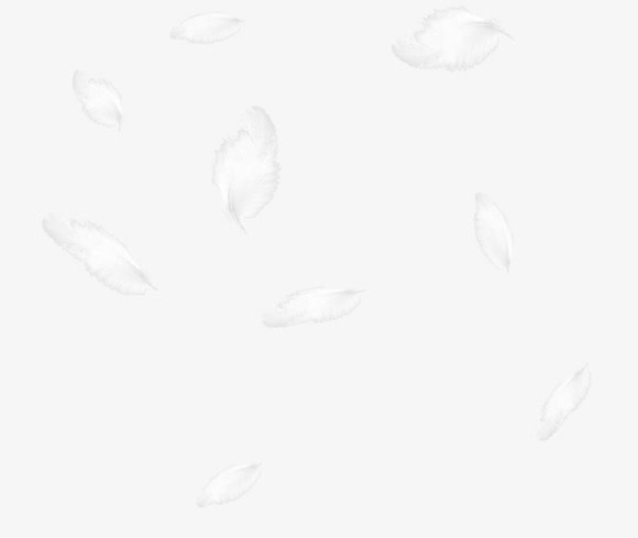 飘落的白色羽毛背景