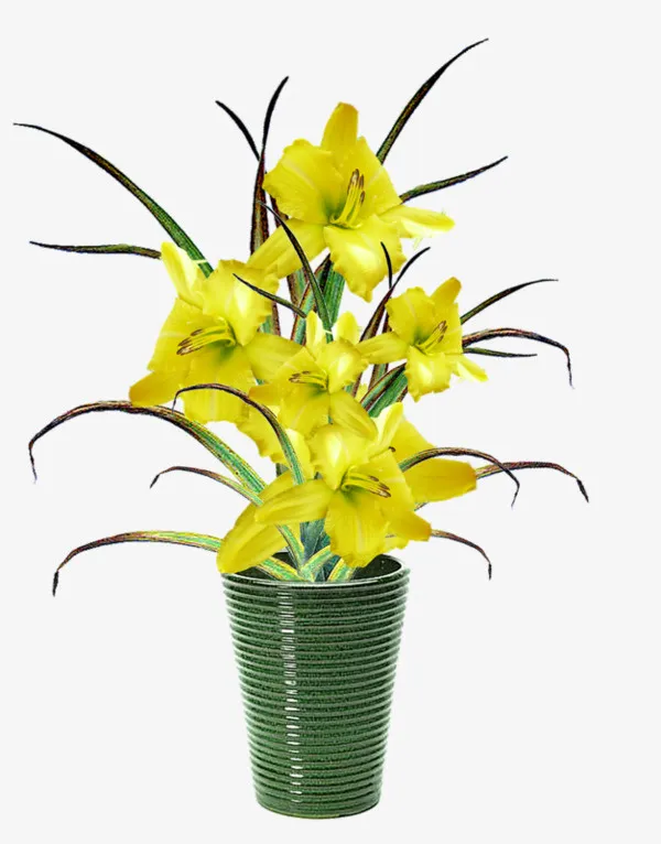 一盆黄花免抠