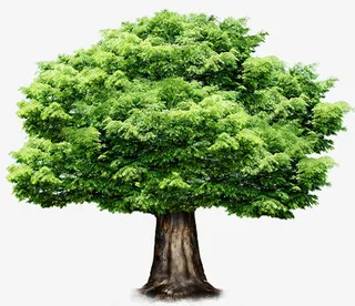 春天公益海报大树免抠