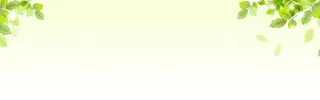 边饰绿叶横幅叶子绿色免抠