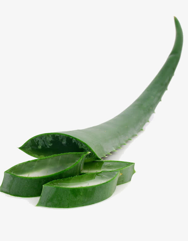 芦荟素材免抠