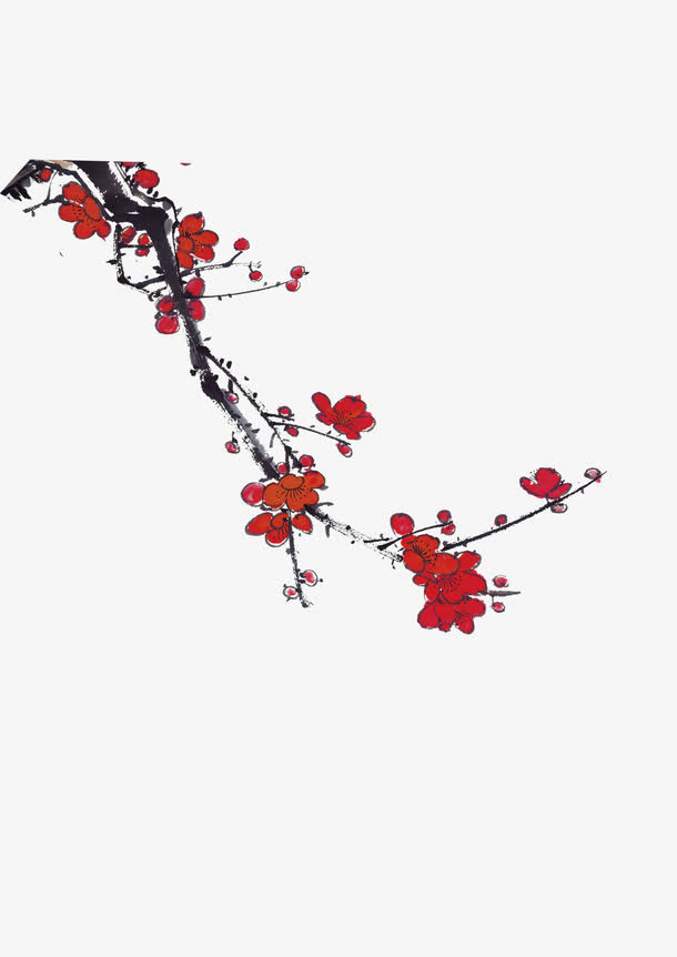 梅花花枝花瓣免抠