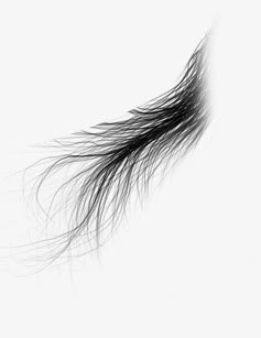 创意合成黑色的头发发丝免抠