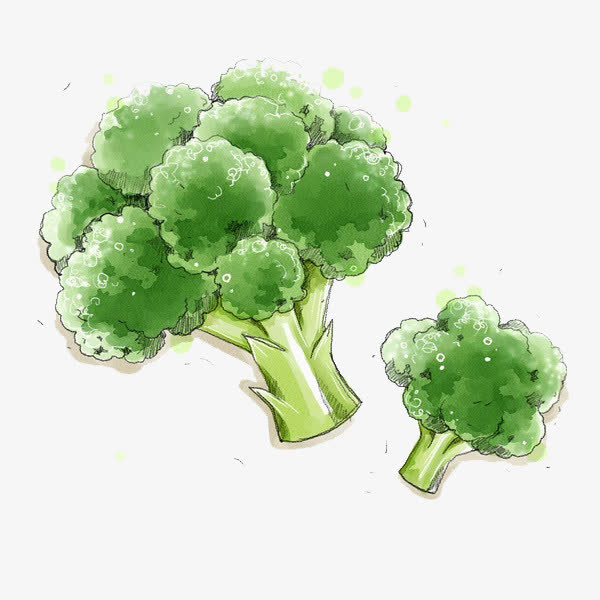 手绘西蓝花免抠
