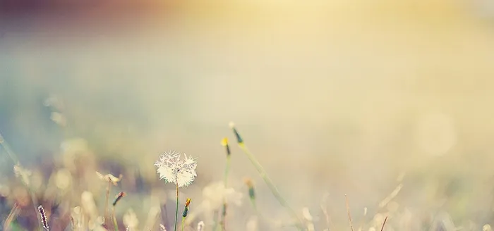 精选素材背景高清