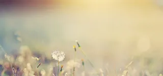 精选素材背景高清