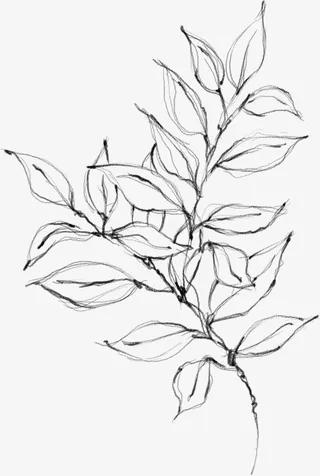 水墨植物元素16免抠动植物植物元素