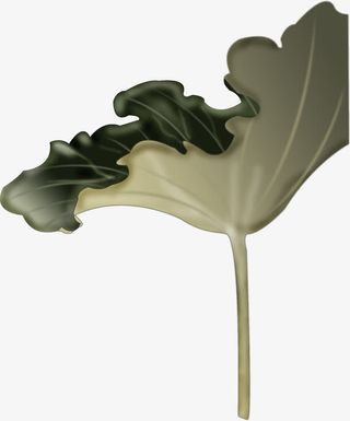 手绘绿色荷叶插画免抠