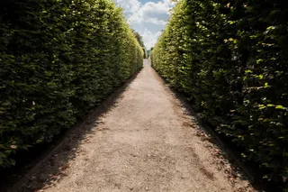 悠长的小路整齐的绿树海报背景