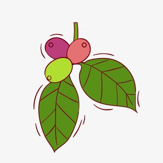 丰硕的果实PNG下载免抠