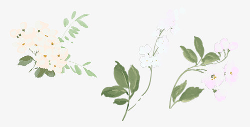 手绘花束免抠