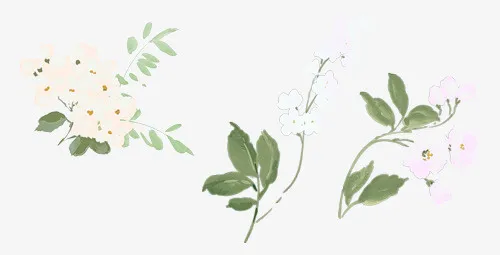 手绘花束免抠