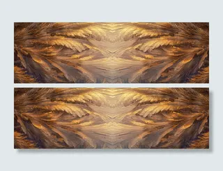 羽毛纹理背景高清