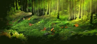 护肤霜海报背景图免抠