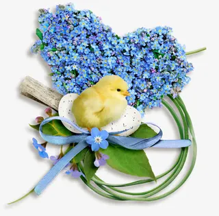 鲜花枝条小鸟免抠