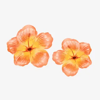 小清新红色水彩绘花朵免抠