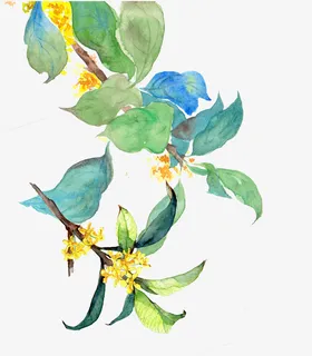 绿色卡通手绘树枝免抠