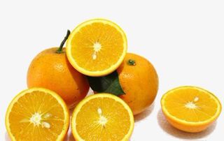 冰糖橙图片免抠