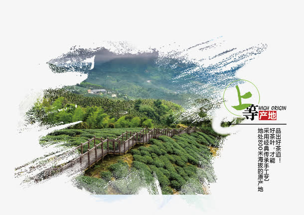 茶叶产地免抠